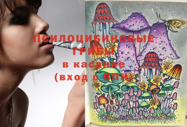 амф Белокуриха