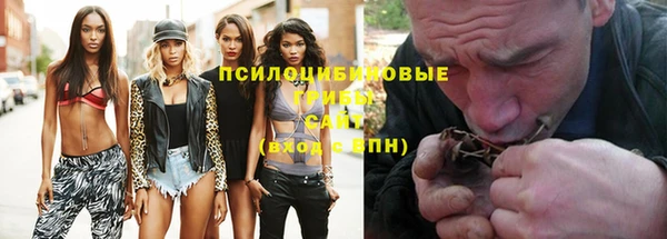 амф Белокуриха