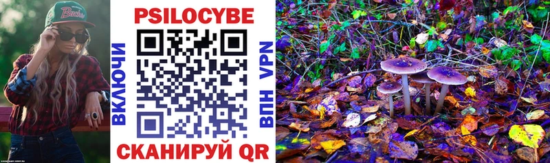 Купить  Бобров  Галлюциногенные грибы Psilocybine cubensis 